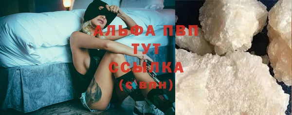 молекула духа Ельня