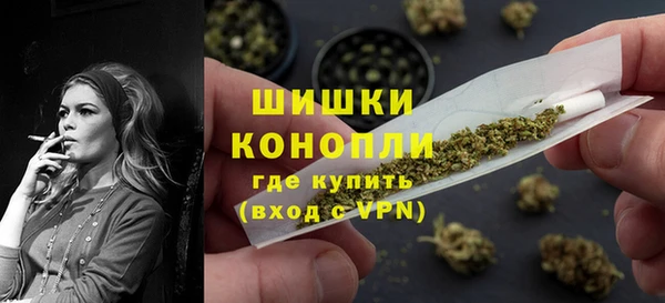 молекула духа Ельня