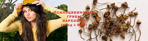 стафф Елабуга