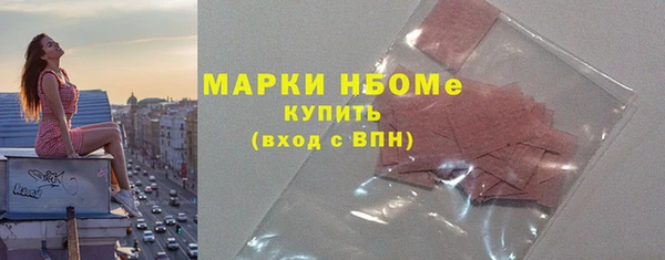 молекула духа Ельня