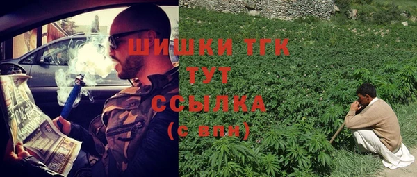 стафф Елабуга