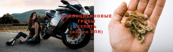 стафф Елабуга