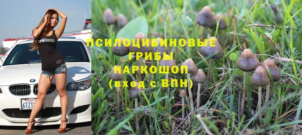 MESCALINE Елизово