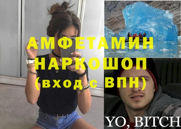 молекула духа Ельня