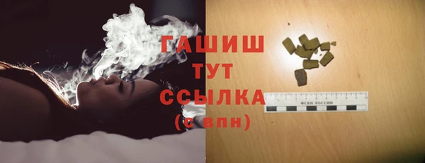 молекула духа Ельня