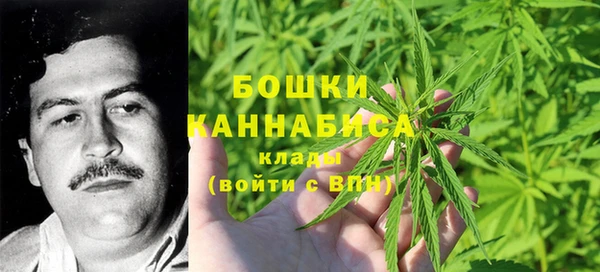 стафф Елабуга