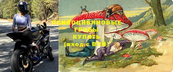 молекула духа Ельня