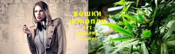 MESCALINE Елизово