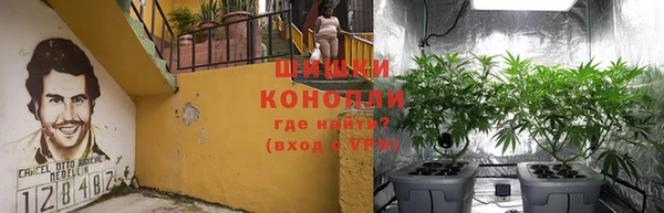 MESCALINE Елизово